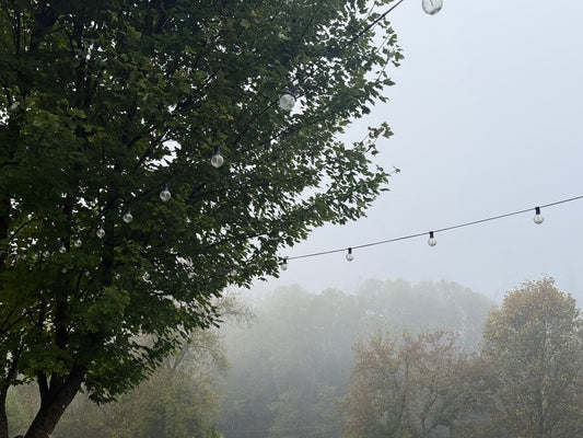 Entering the Slow Season & Embracing Rest