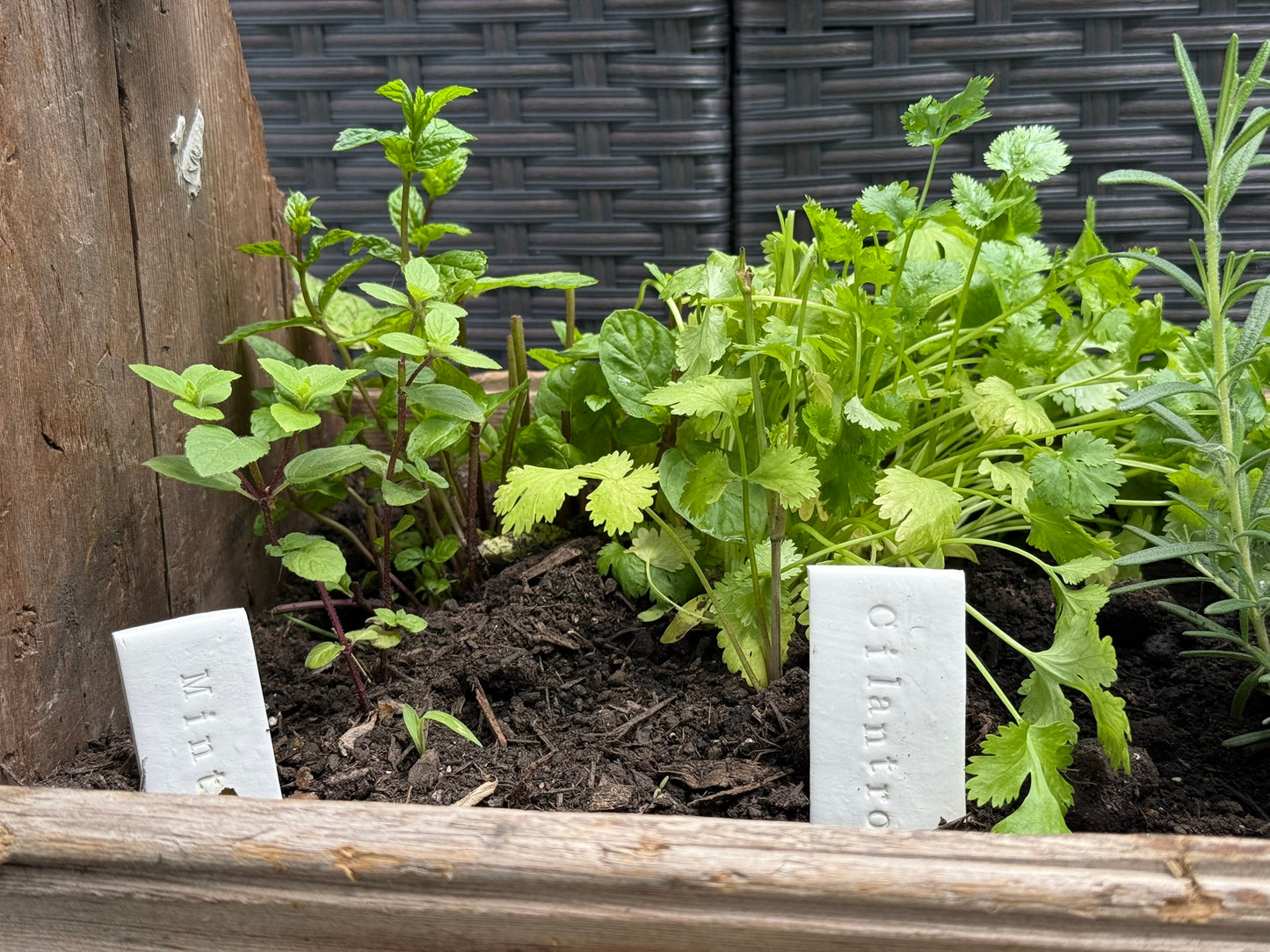 Handmade Clay Herb Garden Stakes