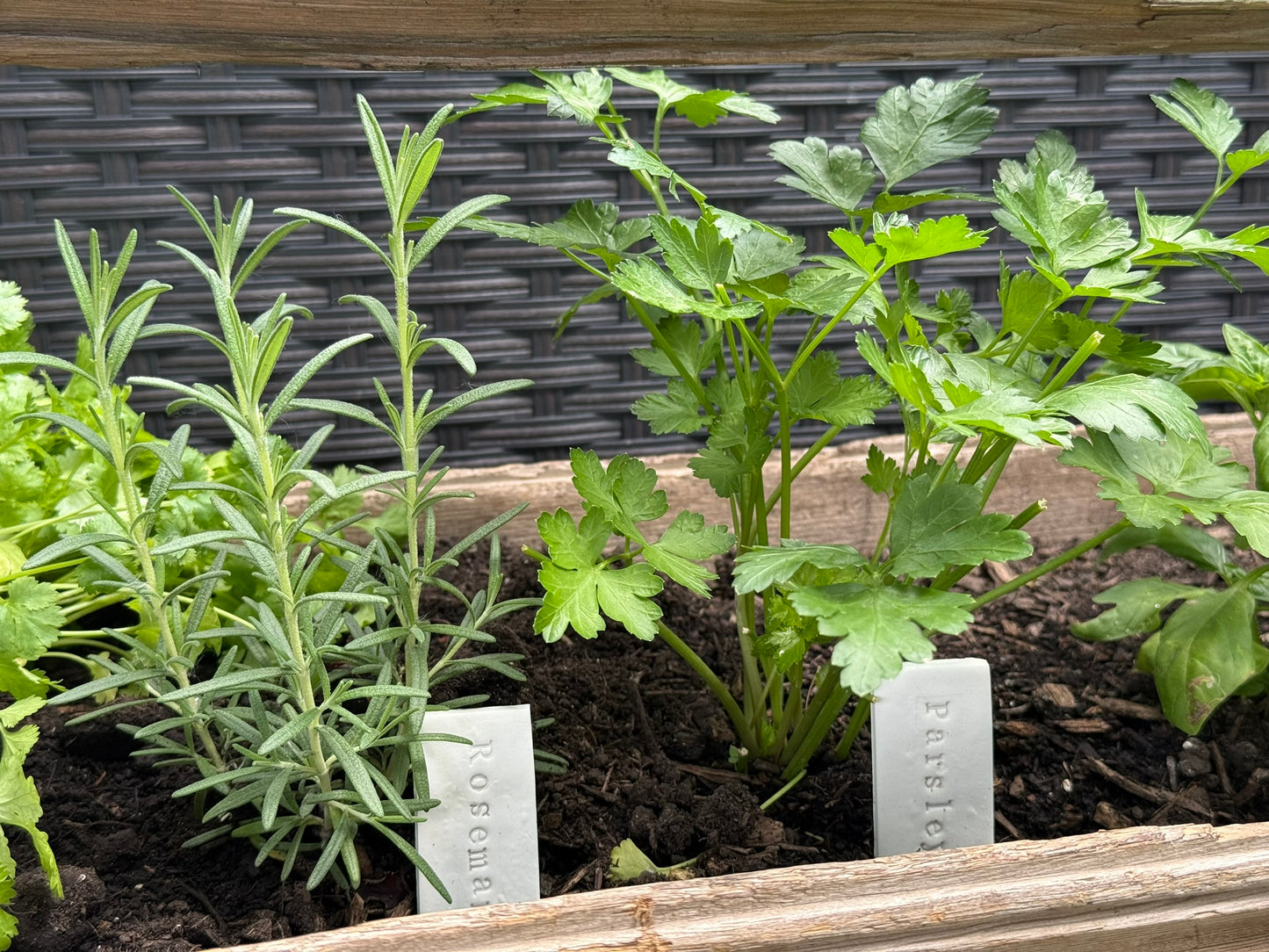 Handmade Clay Herb Garden Stakes