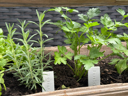 Handmade Clay Herb Garden Stakes