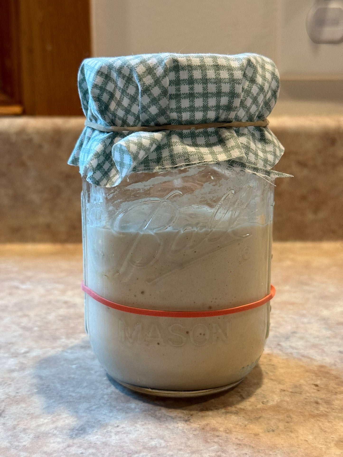 Premium Organic Dehydrated Sourdough Starter