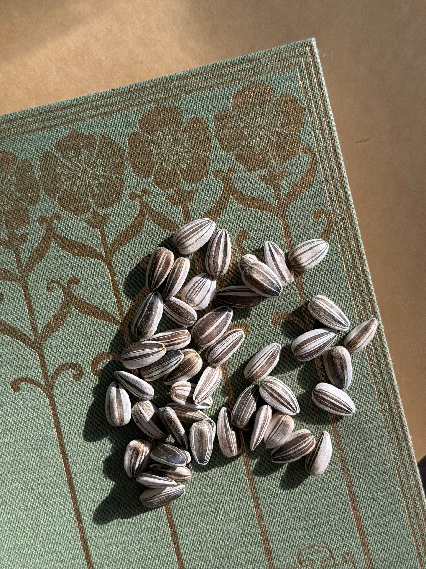 Organic Hand-Harvested Sunflower Seeds