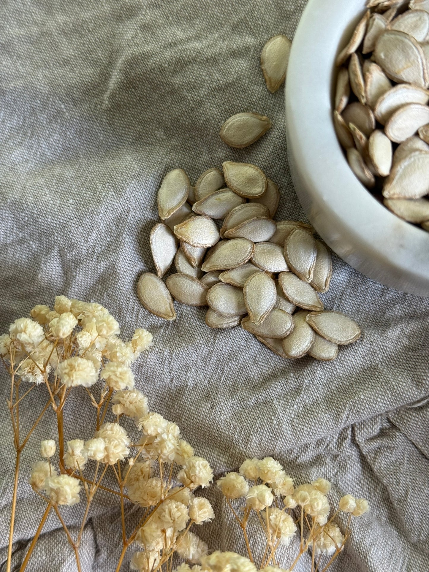 Organic Hand-Harvested Butternut Squash Seeds