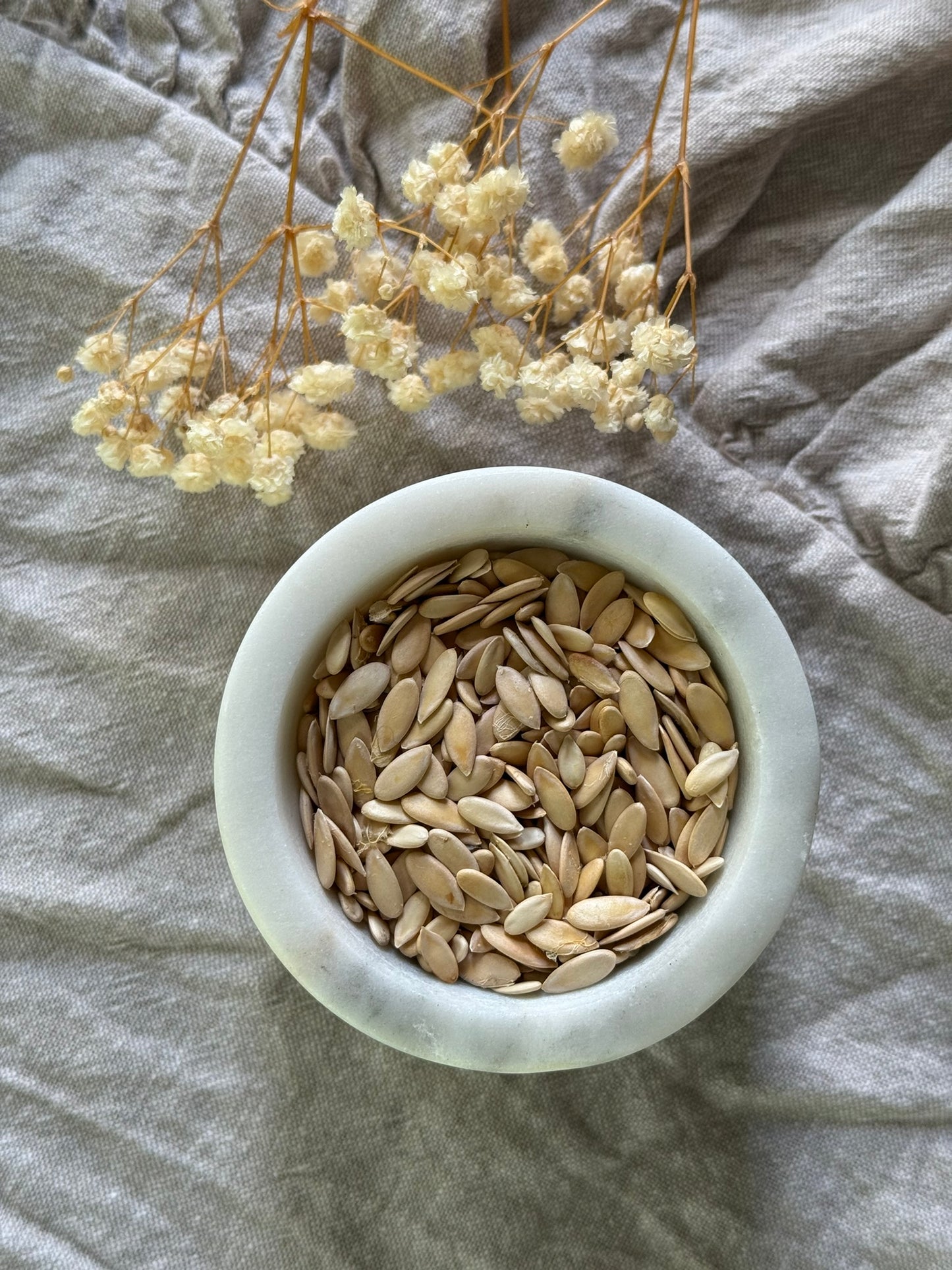 Organic Hand-Harvested Cantaloupe Seeds