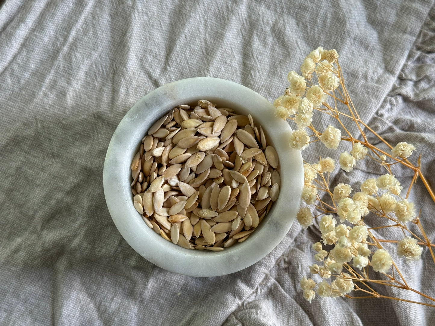 Organic Hand-Harvested Cantaloupe Seeds